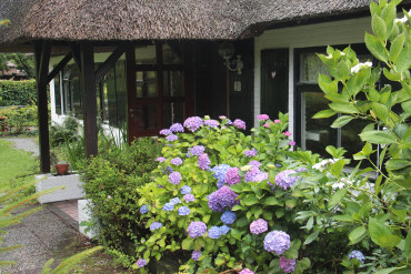 ingang-huis Het huis
